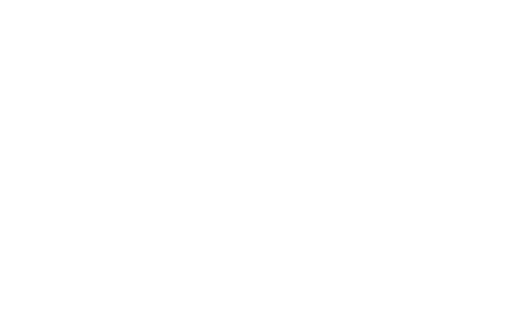 bunte tomaten.ch